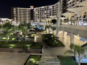 الصورة 1
