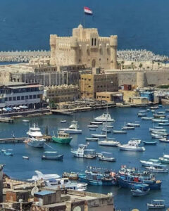 الصورة 1