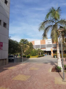 الصورة 1