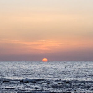 الصورة 1