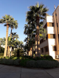 الصورة 1