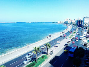 الصورة 1