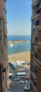 الصورة 1