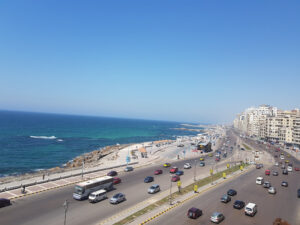 الصورة 1