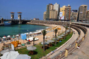 الصورة 1