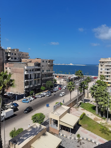 كلية السياحة والفنادق، جامعة الإسكندرية