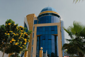 الصورة 1
