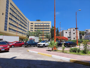 الصورة 1