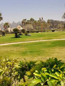 الصورة 1