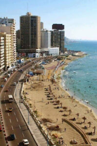 الصورة 1