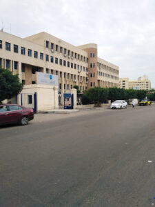 الصورة 1