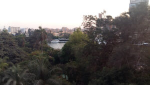 الصورة 1