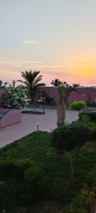 الصورة 1