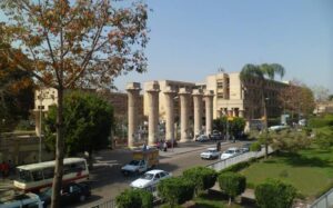 الصورة 1