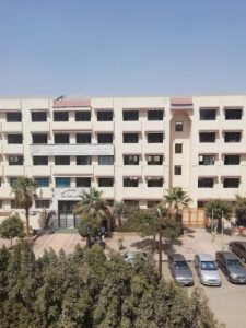 الصورة 1