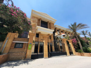الصورة 1