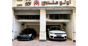 الصورة 1