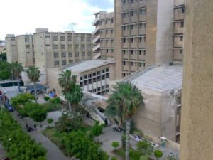 الصورة 1