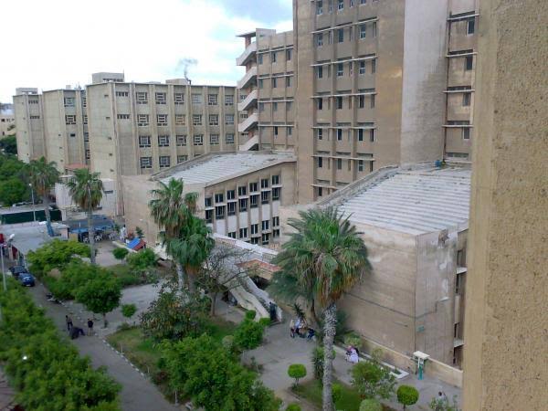 كلية العلوم، جامعة الإسكندرية – مبنى الشاطبي