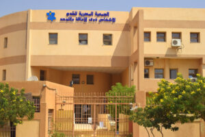 الصورة 1