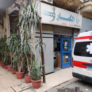 الصورة 1