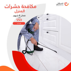 الصورة 1