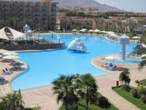 الصورة 1