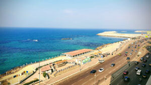 الصورة 1