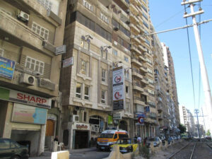 الصورة 1