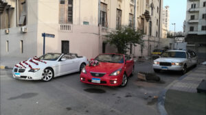 الصورة 1