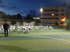 Photo 1