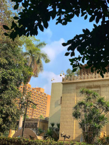 الصورة 1