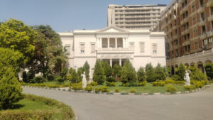 الصورة 1