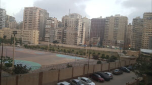 الصورة 1