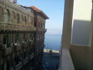 الصورة 1