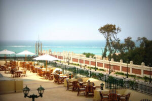 الصورة 1