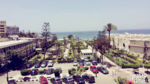 الصورة 1