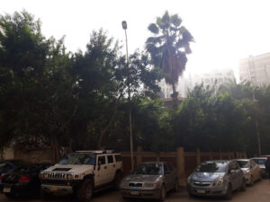 الصورة 1