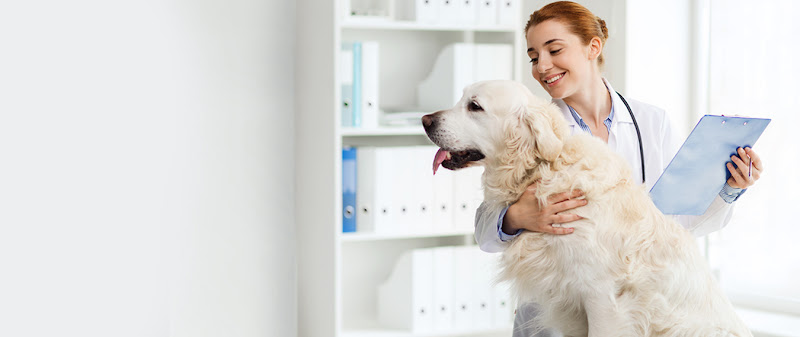 Ozone Pets Clinic