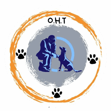AF1QipM5V2A2g1aU2yrAUGeTeJNJHU_dTMFedP9h7Y-fw800-h500-k-no.png