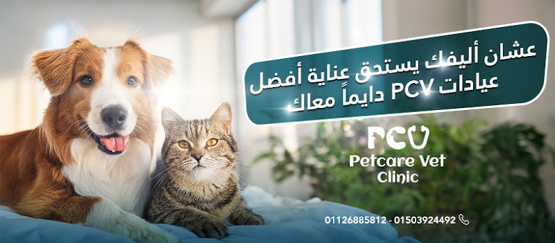 PetCare Vet (PCV)