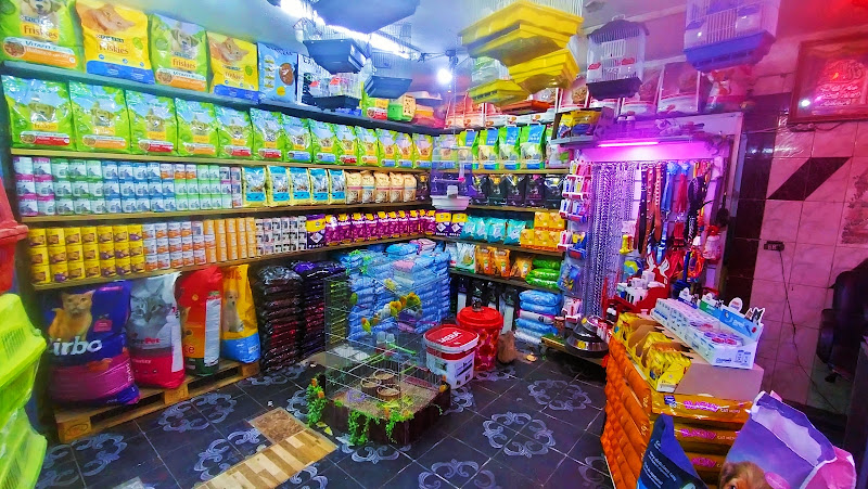 A bird shop for pet birds and pet animals