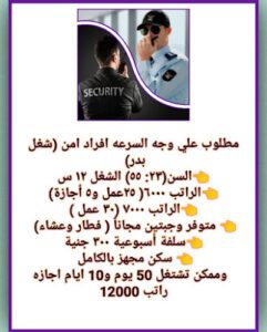 الصورة 1