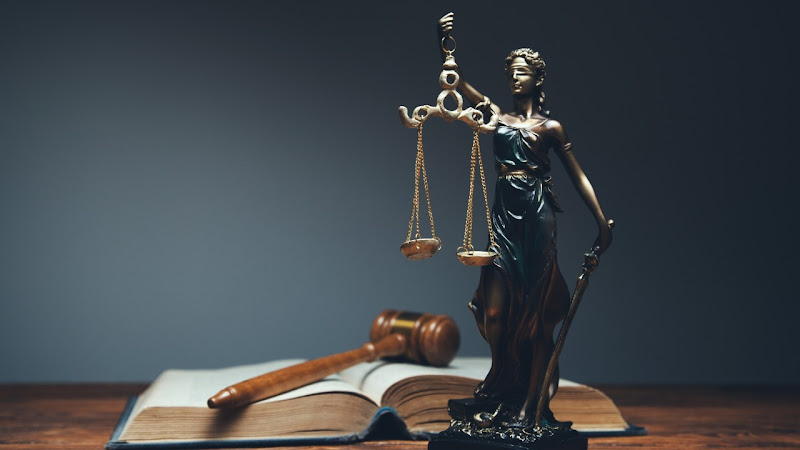 David Samir Law Firm – Legal Consultant/David Samir for Legal Consultations