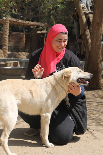 تدريب الدوغنوسيس