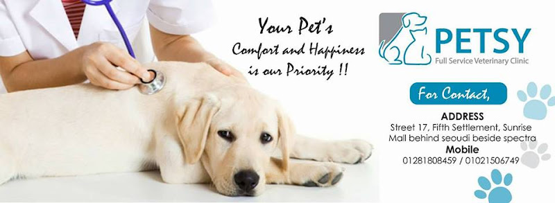 Petsy vet clinic