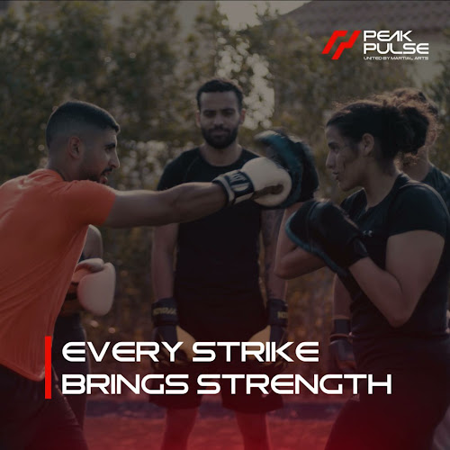 Peak Pulse Martial Arts Academy