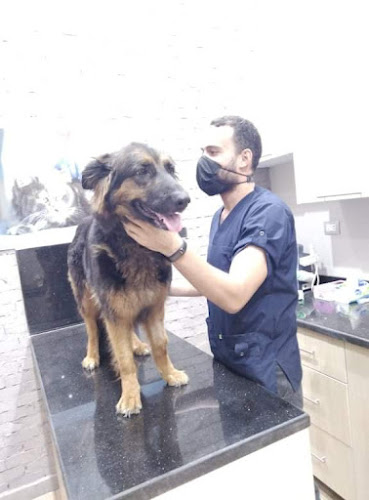 Royal Veterinary Clinic (Dr Anas El Gazzar)