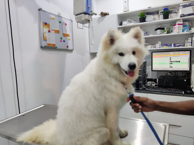 Pet Cure Veterinary Clinic – Madinaty