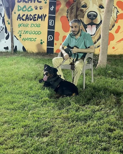 Brave Dog Academy